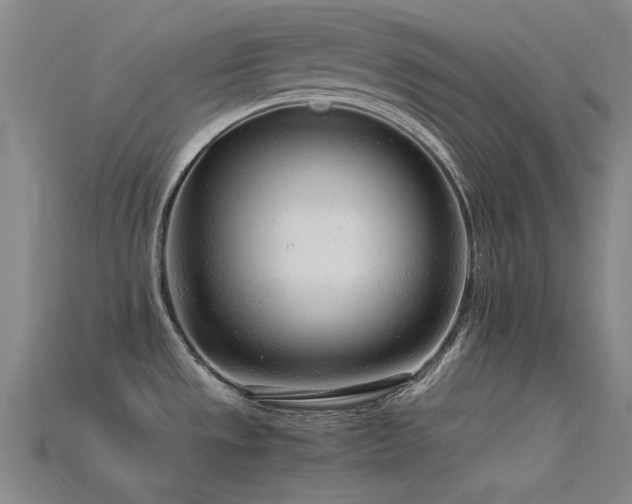 X0000115821533200911131434