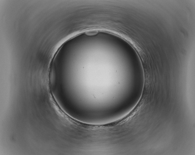 X0000115821534200911131434