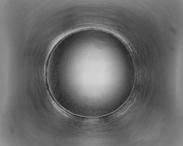 X0000115821535200911131434