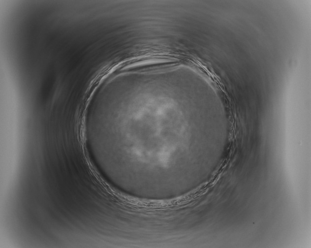 X0000115820002200911201454