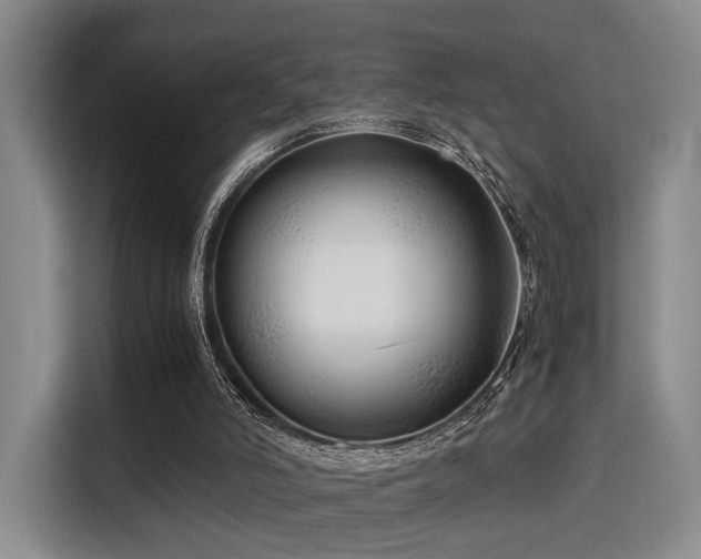 X0000115820006200911201454