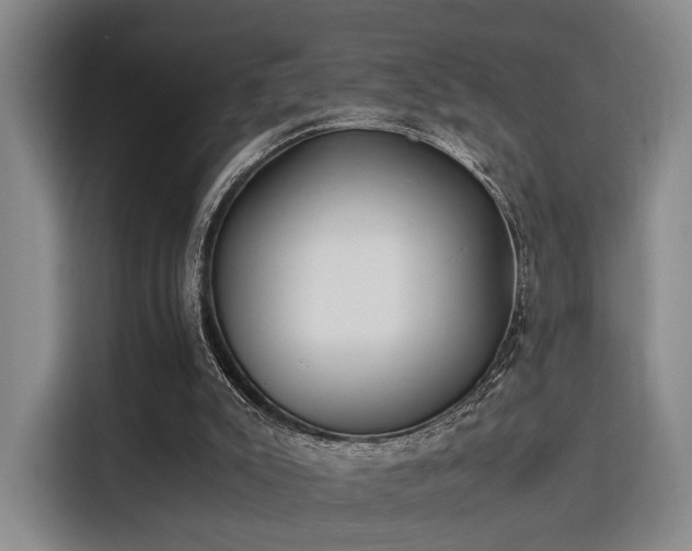 X0000115820007200911201454