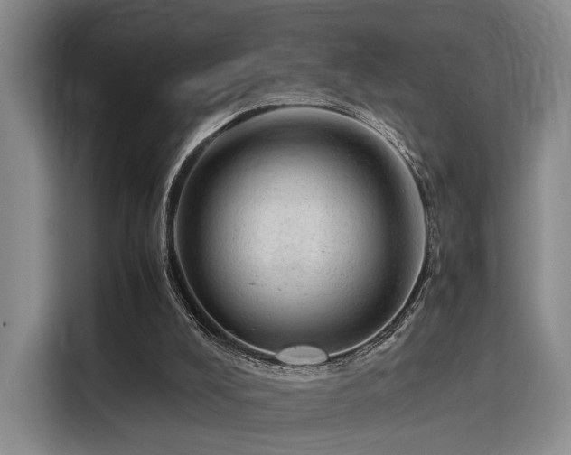 X0000115820008200911201454