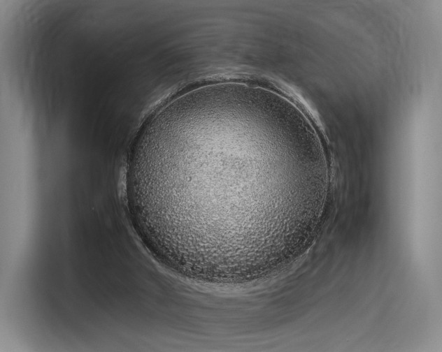 X0000115820010200911201454