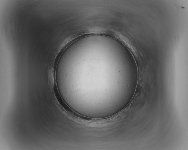 X0000115820011200911201454