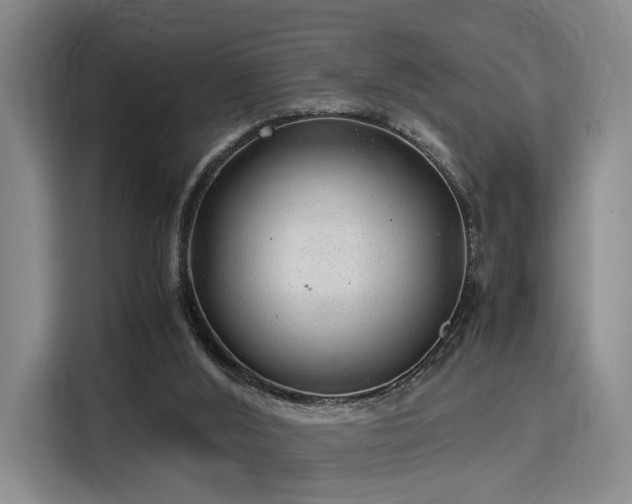 X0000115820012200911201454