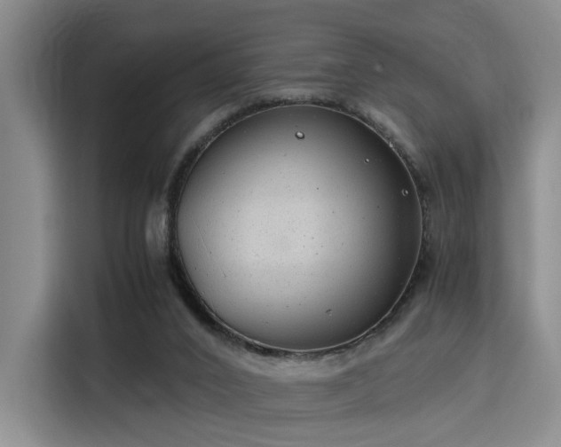 X0000115820016200911201454