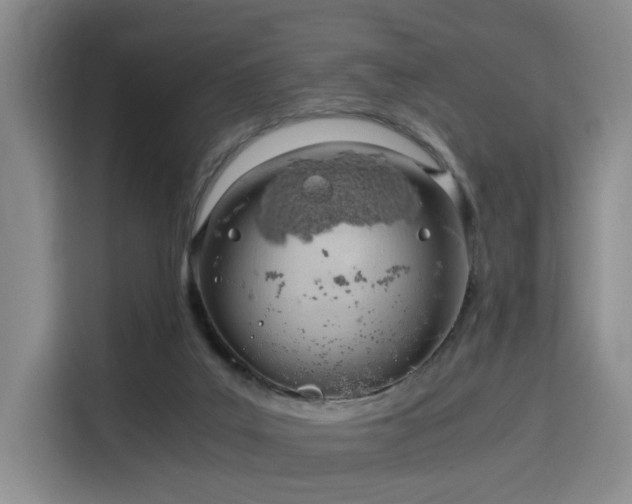 X0000115820019200911201454