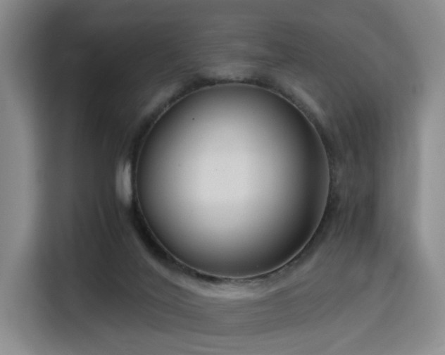 X0000115820020200911201454