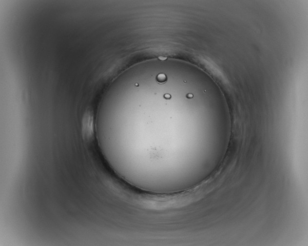 X0000115820021200911201454