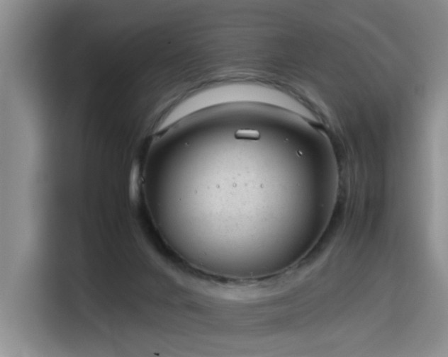 X0000115820024200911201454