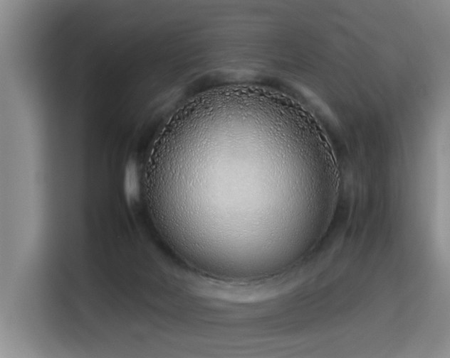 X0000115820026200911201454