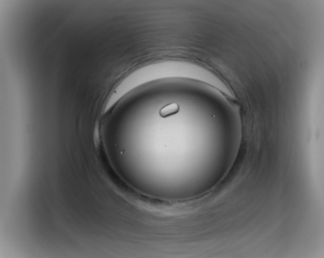 X0000115820028200911201454