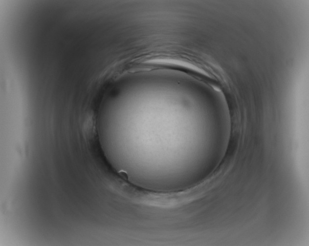 X0000115820029200911201454