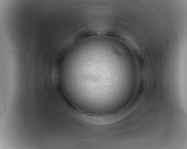 X0000115820030200911201454