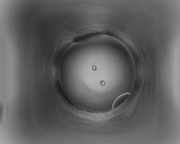 X0000115820031200911201454