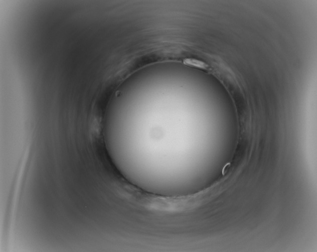 X0000115820033200911201454