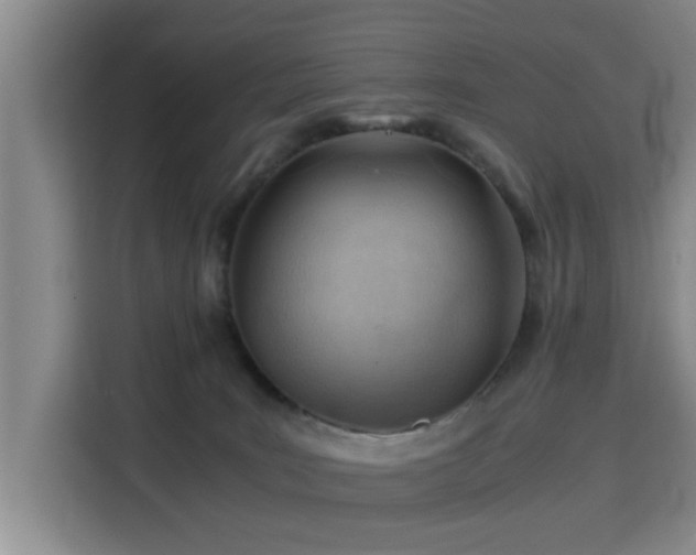 X0000115820035200911201454