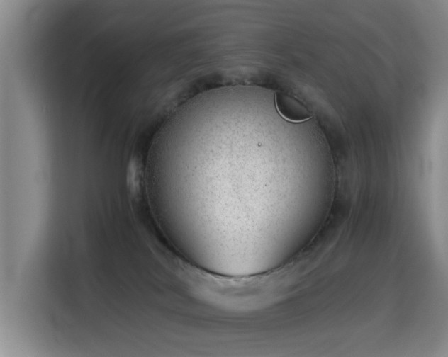 X0000115820038200911201454