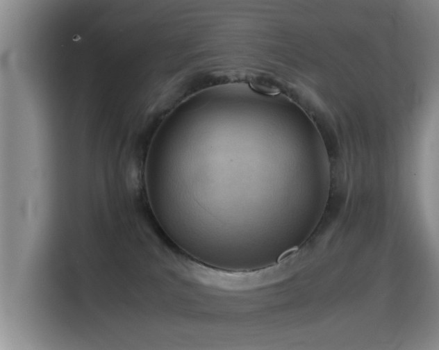 X0000115820039200911201454