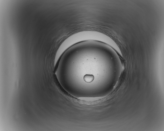 X0000115820043200911201454