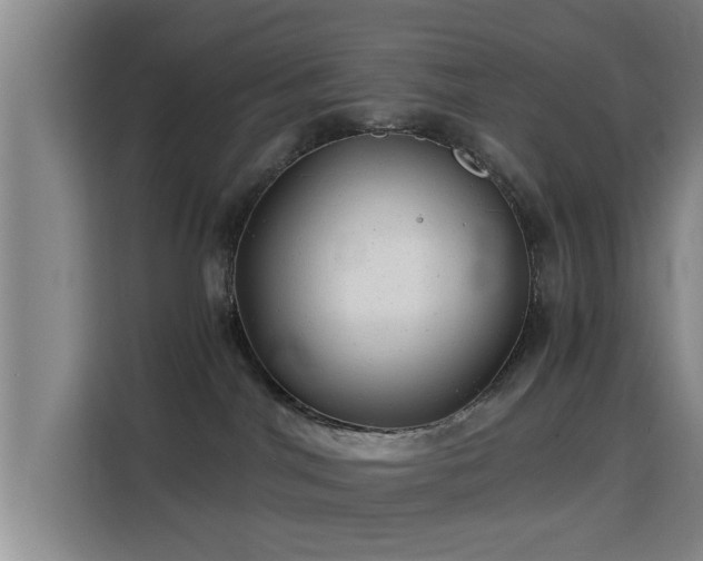 X0000115820044200911201454