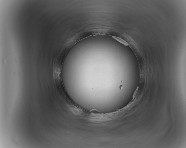 X0000115820045200911201454