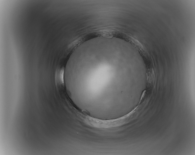 X0000115820047200911201454