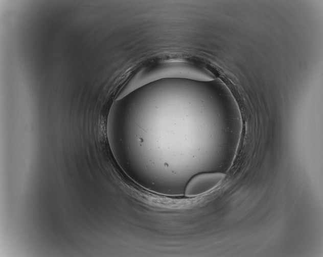 X0000115820048200911201454