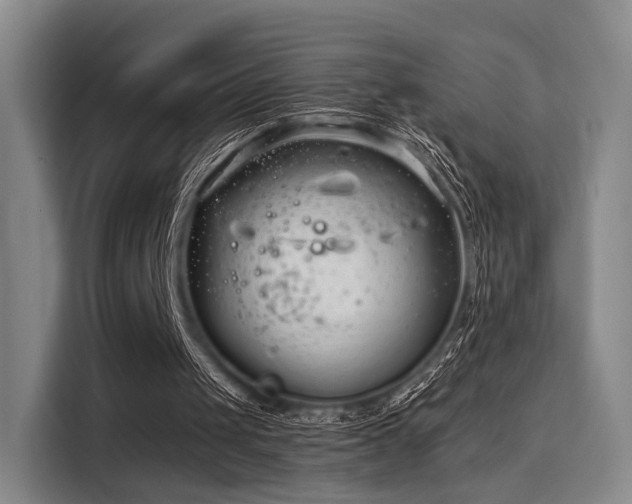 X0000115820049200911201453