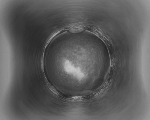 X0000115820052200911201453