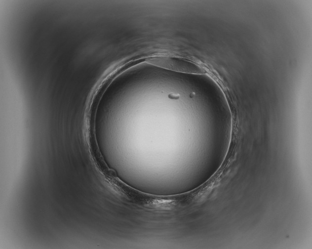 X0000115820055200911201453