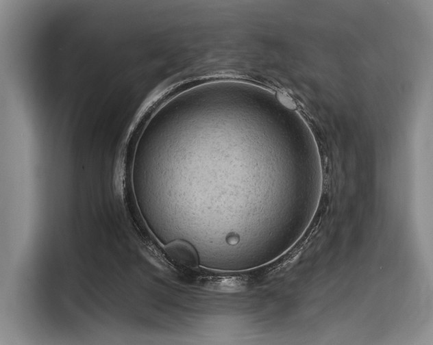 X0000115820056200911201453