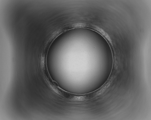 X0000115820057200911201453