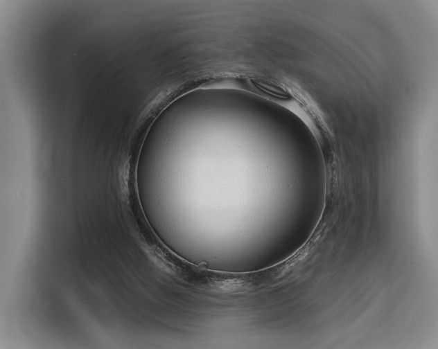 X0000115820058200911201453