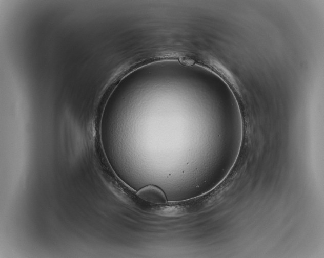 X0000115820059200911201453