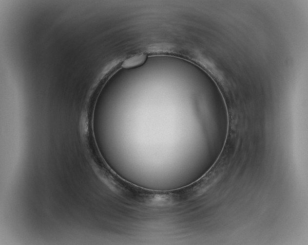 X0000115820060200911201453