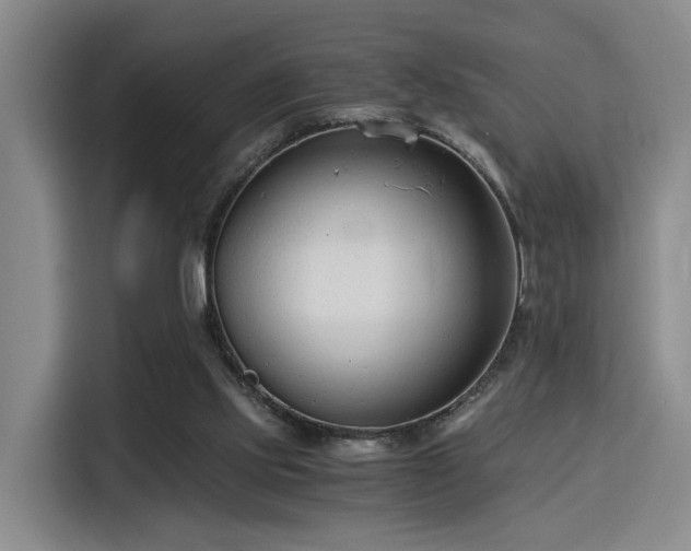 X0000115820061200911201453