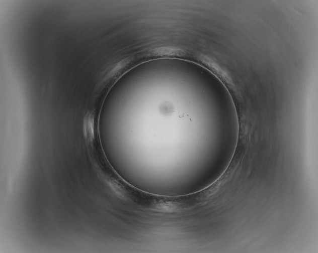 X0000115820062200911201453