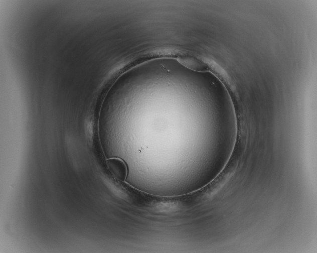 X0000115820063200911201453