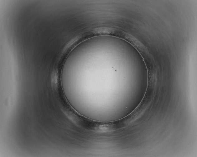 X0000115820064200911201453