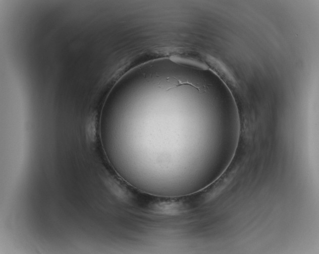 X0000115820065200911201453