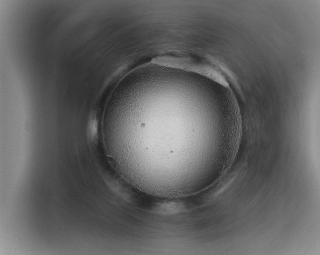 X0000115820067200911201453