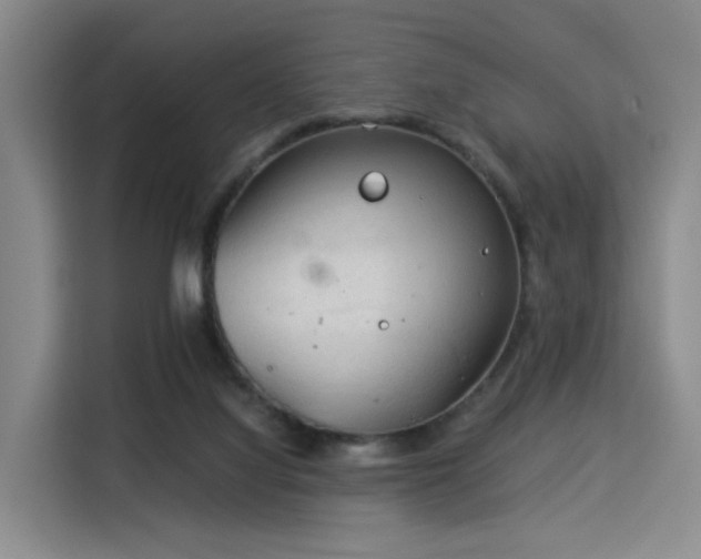 X0000115820068200911201453