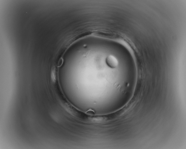 X0000115820069200911201453