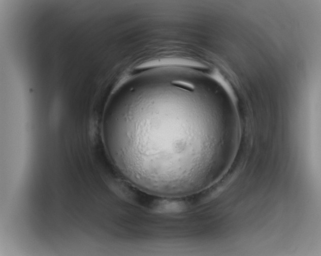 X0000115820073200911201453