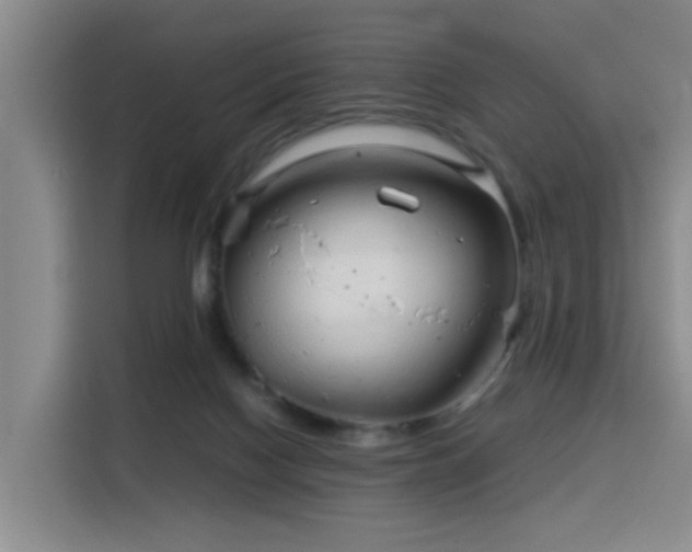 X0000115820074200911201454