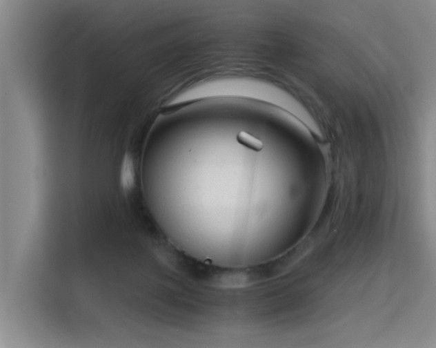 X0000115820075200911201454