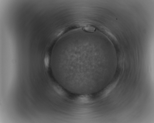 X0000115820076200911201454