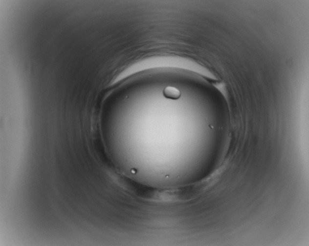 X0000115820078200911201454